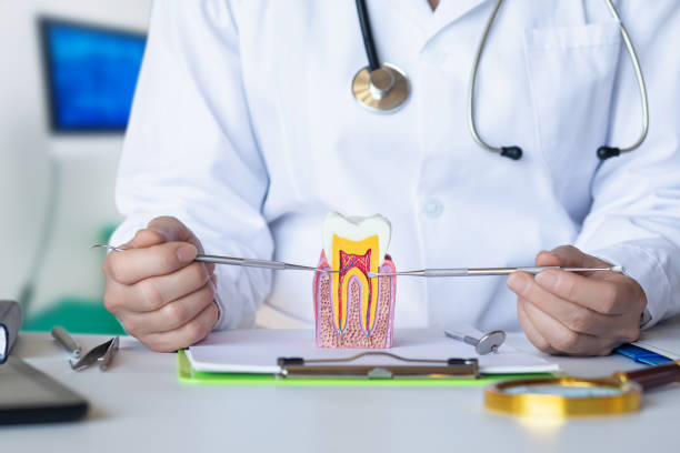 Best Tooth Infection Emergency Dentist  in Surfside, FL